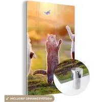 MuchoWow Glasschilderij - Foto op glas - Katten - Kat - Vlinder - Zonsondergang - Natuur - 120x180 cm - Acrylglas - Glasschilderij natuur - Schilderij glas - Muurdecoratie