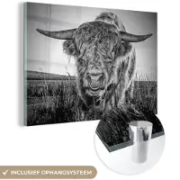 MuchoWow Glasschilderij 180x120 cm - Schilderij acrylglas - Schotse Hooglander - Zwart - Wit - Foto op glas - Schilderijen
