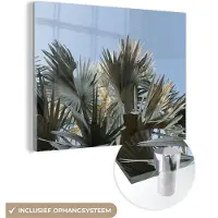 MuchoWow Glasschilderij 160x120 cm - Schilderij acrylglas - Palm - Bladeren - Tropisch - Zomer - Foto op glas - Schilderijen