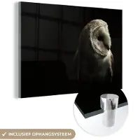 MuchoWow Glasschilderij 180x120 cm - Schilderij acrylglas - Uil - Vogel - Portret - Foto op glas - Schilderijen