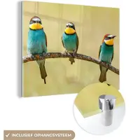 MuchoWow Glasschilderij 160x120 cm - Schilderij acrylglas - Vogels - Dieren - Bijeneter - Foto op glas - Schilderijen