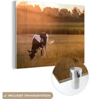 MuchoWow Glasschilderij 160x120 cm - Schilderij acrylglas - Koe - Zon - Dieren - Foto op glas - Schilderijen