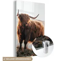 MuchoWow Glasschilderij - Schotse hooglander - Koe - Berg - Foto op glas - Acrylglas - 120x180 cm - Schilderij glas - Glasschilderij natuur - Glasschilderij Schotse hooglander - Muurdecoratie