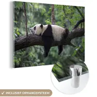 MuchoWow - Glasschilderij - Foto op glas - Wanddecoratie - Panda - Boom - Natuur - Muurdecoratie - 180x120 cm - Schilderij glas - Acrylglas