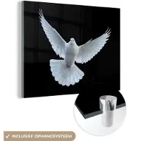 MuchoWow Glasschilderij - Duif - Wit - Vogel - Acrylglas - Foto op glas - 160x120 cm - Kamerdecoratie - Glasschilderij dieren - Glasschilderij vogels - Wanddecoratie - Slaapkamer