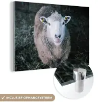 MuchoWow Glasschilderij 180x120 cm - Schilderij acrylglas - Schaap - Dieren - Vee - Foto op glas - Schilderijen