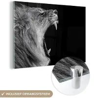 MuchoWow Glasschilderij - Dieren - Leeuw - Natuur - Zwart-wit - Acrylglas - Foto op glas - Schilderijen woonkamer - 180x120 cm - Schilderij leeuw - Wanddecoratie glas - Muurdecoratie
