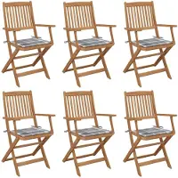 vidaXL Tuinstoelen 6 st inklapbaar met kussens massief acaciahout