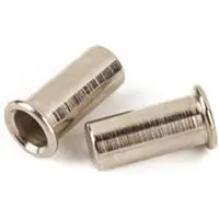Fender 0054447049 Brugpennen voor American Vintage Jaguar/Jazzmaster – Vernikkeld (Set van 2)