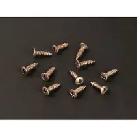 Boston TS-01-N/REL Vintage Oval Countersunk Schroeven voor Pickguard - 12 Stuks