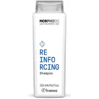 Framesi Morphosis Reinforcing Shampoo 250ml | Voor Mannen