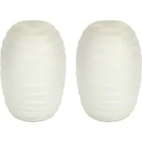 Countryfield Bloemenvaas Evita - 2x - ivoor wit - mat glas - D15 x H22 cm