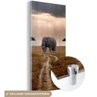 MuchoWow Glasschilderij 80x160 cm - Schilderij acrylglas - Olifant - Dieren - Grasvlakte - Zon - Foto op glas - Schilderijen