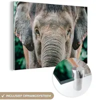 MuchoWow Glasschilderij 180x120 cm - Schilderij acrylglas - Olifant - Portret - Dieren - Grijs - Foto op glas - Schilderijen