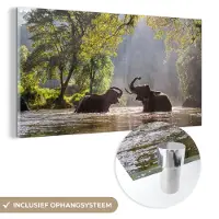 MuchoWow Glasschilderij 160x80 cm - Schilderij acrylglas - Olifant - Water - Dieren - Bomen - Zon - Foto op glas - Schilderijen