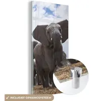MuchoWow Glasschilderij 40x80 cm - Schilderij acrylglas - Olifant - Dieren - Natuur - Vlakte - Foto op glas - Schilderijen