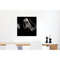 MuchoWow Glasschilderij 50x50 cm - Schilderij acrylglas - Olifant - Zwart - Dieren - Natuur - Foto op glas - Schilderijen