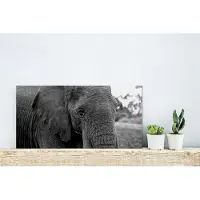 MuchoWow Glasschilderij 40x20 cm - Schilderij acrylglas - Olifant - Dieren - Zwart - Wit - Natuur - Foto op glas - Schilderijen