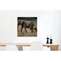 MuchoWow Glasschilderij 50x50 cm - Schilderij acrylglas - Olifant - Dieren - Savanne - Natuur - Foto op glas - Schilderijen