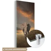 MuchoWow Glasschilderij 80x160 cm - Schilderij acrylglas - Olifant - Dieren - Gras - Natuur - Foto op glas - Schilderijen