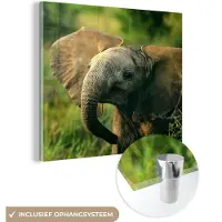 MuchoWow Glasschilderij 20x20 cm - Schilderij acrylglas - Olifant - Groen - Dieren - Natuur - Foto op glas - Schilderijen