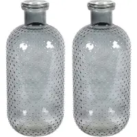 Countryfield Bloemenvaas Cactus Dots - 2x - donkergrijs transparant - glas - D15 x H35 cm