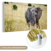 MuchoWow Glasschilderij 120x60 cm - Schilderij acrylglas - Olifant - Dieren - Landschap - Zon - Natuur - Foto op glas - Schilderijen