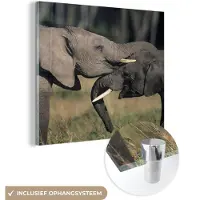 MuchoWow Glasschilderij 50x50 cm - Schilderij acrylglas - Olifant - Dieren - Grijs - Natuur - Foto op glas - Schilderijen