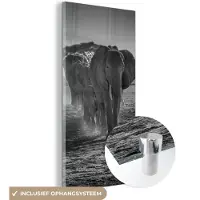 MuchoWow Glasschilderij 20x40 cm - Schilderij acrylglas - Olifant - Vlakte - Dieren - Zwart - Wit - Foto op glas - Schilderijen