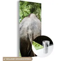 MuchoWow Glasschilderij 40x80 cm - Schilderij acrylglas - Olifant - Dieren - Grijs - Natuur - Foto op glas - Schilderijen