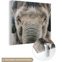 MuchoWow Glasschilderij 50x50 cm - Schilderij acrylglas - Olifant - Portret - Dieren - Grijs - Foto op glas - Schilderijen