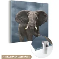MuchoWow Glasschilderij 50x50 cm - Schilderij acrylglas - Olifant - Wolken - Dieren - Natuur - Foto op glas - Schilderijen