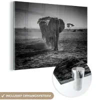 MuchoWow Glasschilderij 180x120 cm - Schilderij acrylglas - Olifant - Vlakte - Dieren - Zwart - Wit - Foto op glas - Schilderijen