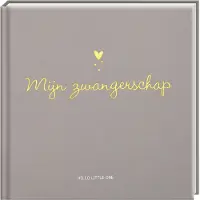 ImageBooks Factory/Allmedia (ImageGroup Holland) Baby invulboeken - Mijn zwangerschap (Hardback)