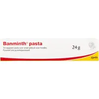 Banminth Pasta hond