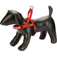 Beeztees Hondentuig Parinca Premium Comfort Rood 62-74 X 2,5 Cm