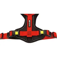 Beeztees Hondentuig Parinca Premium Rood 38-48 X 2 Cm