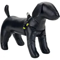 Beeztees Hondentuig Uni Zwart 46-75 X 2 Cm