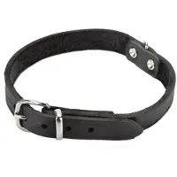 Beeztees Hondenhalsband Zwart 47 X 18 Cm