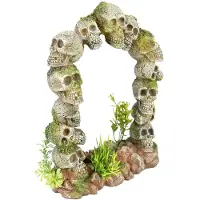 Ebi Aqua Della Schedels Poort (Andere objecten)