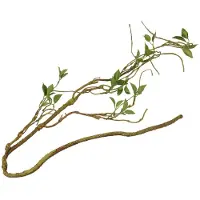 Terra Natura Plantentak dun 130 cm