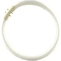 Philips 2GX13 60W 840 Ringvormige tl-lamp Master TL5 2GX13, dimbaar