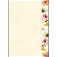 Sigel DP788 Design papier A4 Mat 90 g/m² 21 x 29,7 cm Kleurenassortiment 50 Vellen