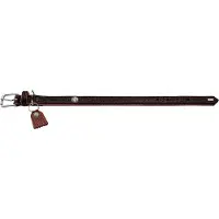 Hunter Halsband Cody