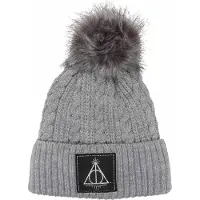 Harry Potter Unisex Adult Deathly Hallows Beanie (Grijs)