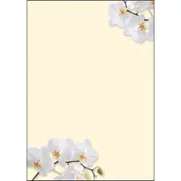 Sigel Design-Papier