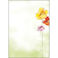 Sigel Design-Papier