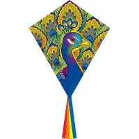 Ecoline Drachen Eddy Peacock 70x45 cm, ab 5 Jahren, inkl. Griff mit 25 m Schnur