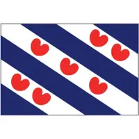 Talamex Friese vlag