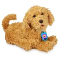 Famosa Moji The Labradoodle Educational Toy Veelkleurig